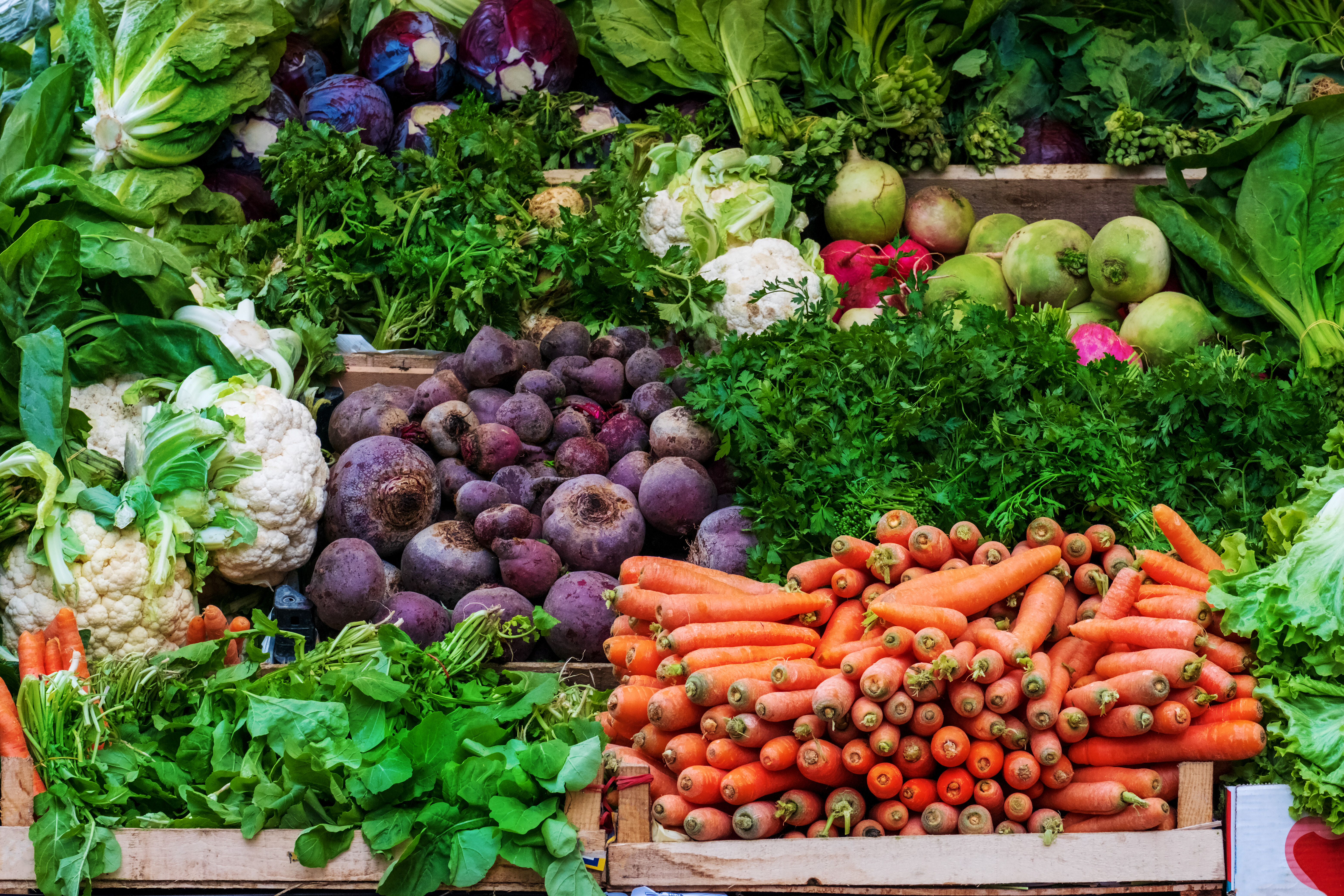 Fresh from the Farm to Our Front Door: A Farmer’s Market Comes to Riverside EpiCenter